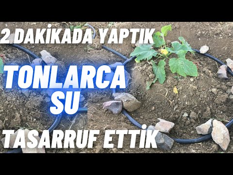 Video: Çölde Tasarruf