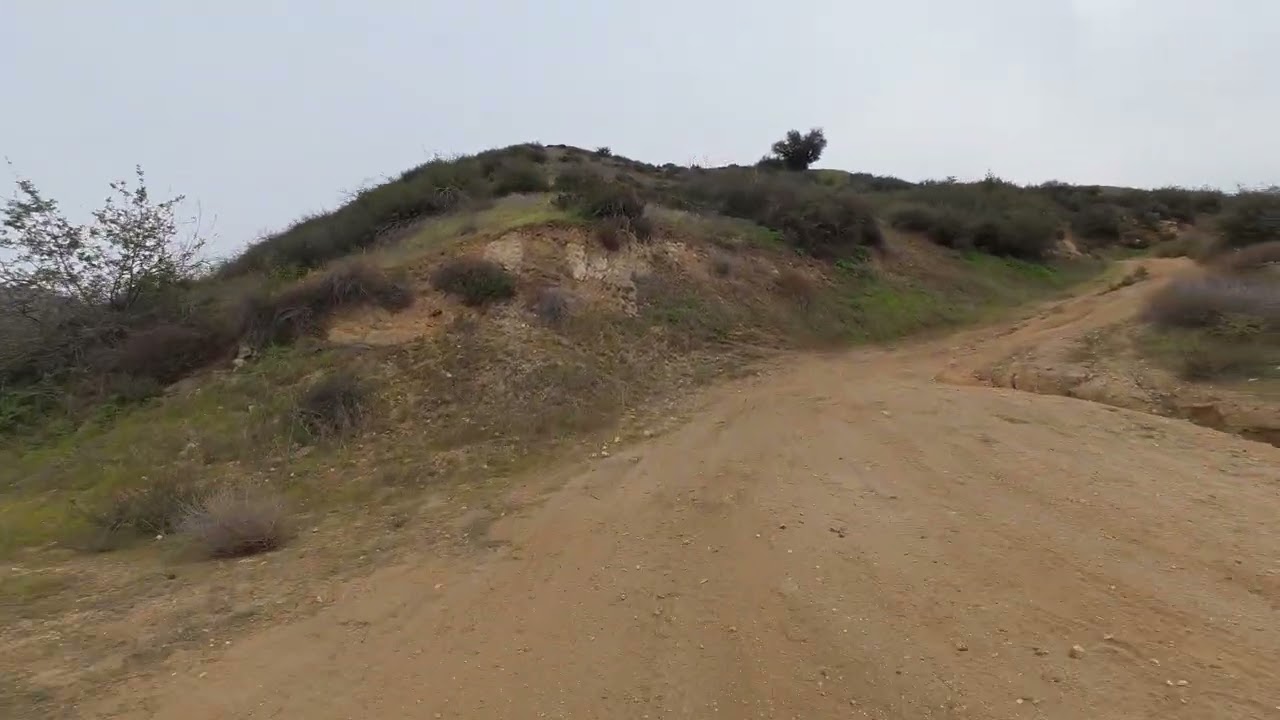 Deep Inside Bogart Park