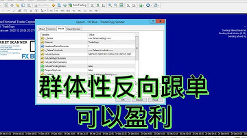 如何利用外汇ea反向跟单实现稳定盈利