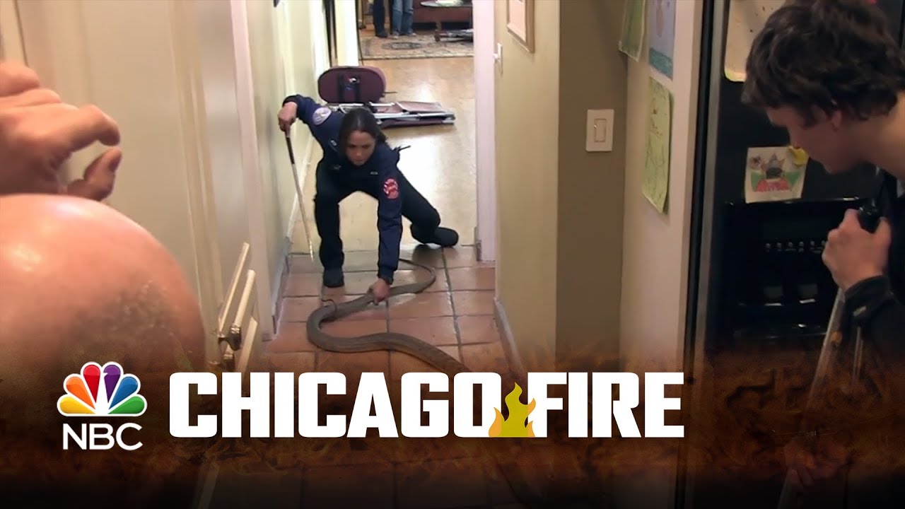 Chicago Fire The Real Reason Leslie Shay Was Killed Off