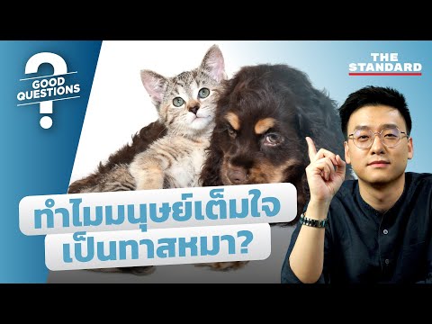 วีดีโอ: วิธีรักษาแมวด้วยอาการท้องผูก