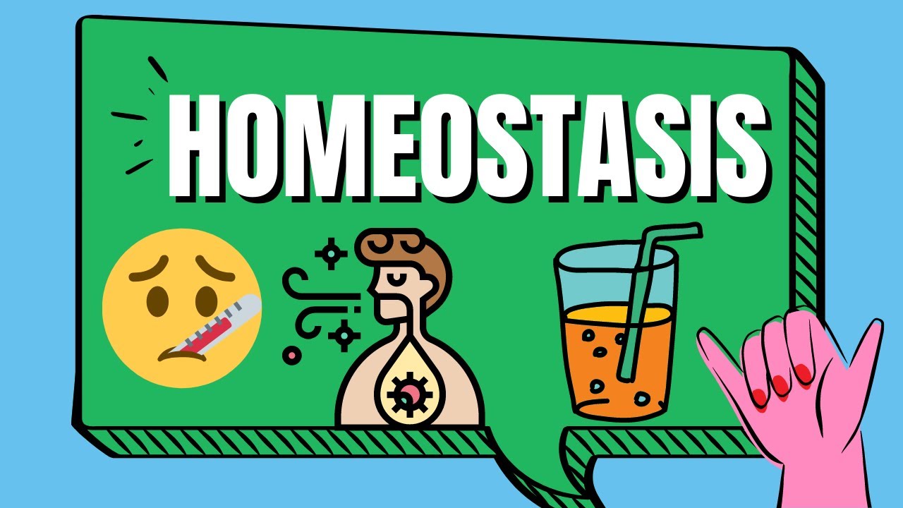 Homeostasis Examples
