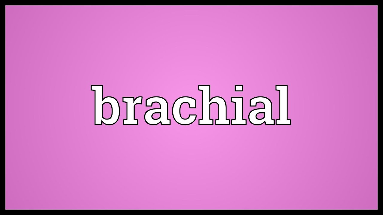 Brachial Meaning - YouTube