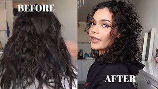 MY CURLY HAIR JOURNEY (w\/pictures \& big chop footage) | Layanne