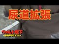 【歌舞伎町調査file.40】歌舞伎町の女大体へんな特技ある