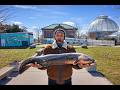 The Oldest Aquarium in America?! Exploring Belle Isle Aquarium