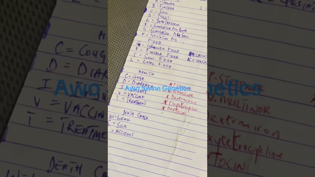 Daily keeping of Pig Farm record … 