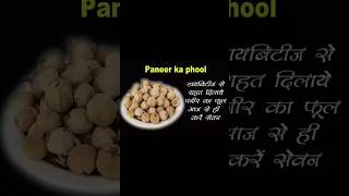 Paneer doda benefits | link in description box  health ayurvedicway shortsfeed shortvideo like