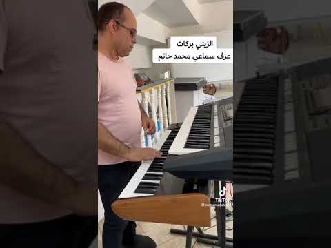 الزيني بركات