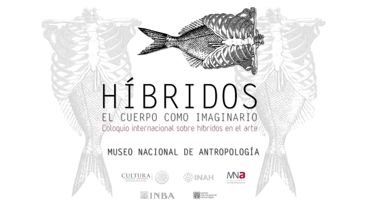 zonasinhunter HÍBRIDOS. El cuerpo como el imaginario. Inauguración