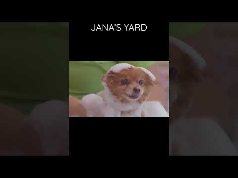 Jana’s Yard - Cockadoodledoo - Ep 2/S2