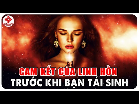 Video: Hình ảnh vui nhộn cho sự phát triển tư duy của trẻ