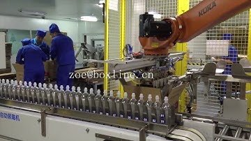 Pharmaceutical plant products robotic carton packing solution bottle packaging machines