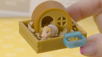 All the essentials for this Mini to live large! 🐹 #Miniverse