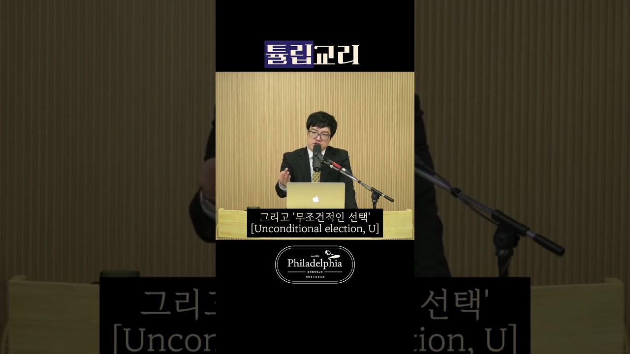 칼빈주의 5대 강령, TULIP 교리 한눈에 #튤립교리 #칼빈주의