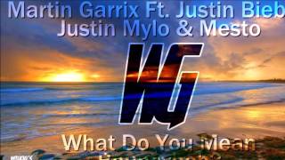 Martin Garrix Ft. Justin Bieber, Justin Mylo & Mesto What Do You Mean Bouncybob? (WilkiG M