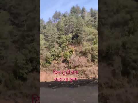 दिल तू ही बता #alishachinoy #zubeengargsong #romanticsong #short #shortsfeed #ytshorts #lovestatus