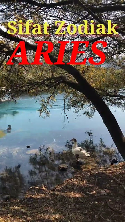 ARIES Sifat Zodiak#shorts video