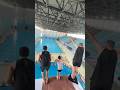 #JasonDeruloTV // Who Had The Best Dive? 🏊💯 IG @dcdo_