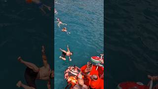 Where is the turtle gone? #diving #swimming #sea