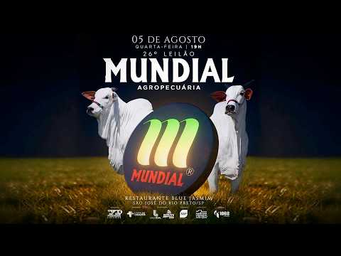 LOTE 1000   MILA FIV GLDJ    GLDJ 585   ARQUIVO