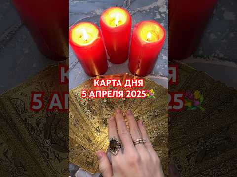 КАРТА ДНЯ 5