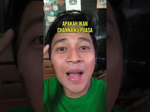 Apakah Ikan Channa Jumbo ku Puasa? #ikanchanna
