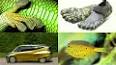 The Fascinating World of Biomimicry: Nature's Ingenious Innovations ile ilgili video