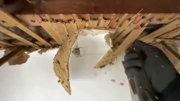 Removing 100 year old plaster