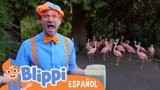 Blippi Alimenta y Juega Con Animales en el Zoo | Canciones para niños | Canciones educativas