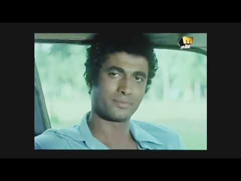 عبقرية كمال بكير