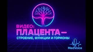 Плацента: строение, функции и гормоны | Физиология беременности