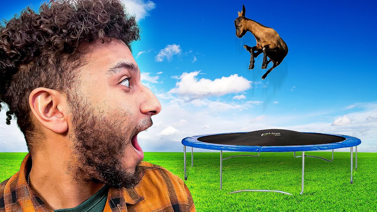 Making goats fly! YouTube