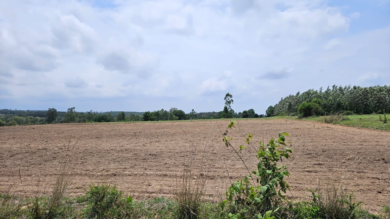 16 acre agri land for sale in Hassan YouTube