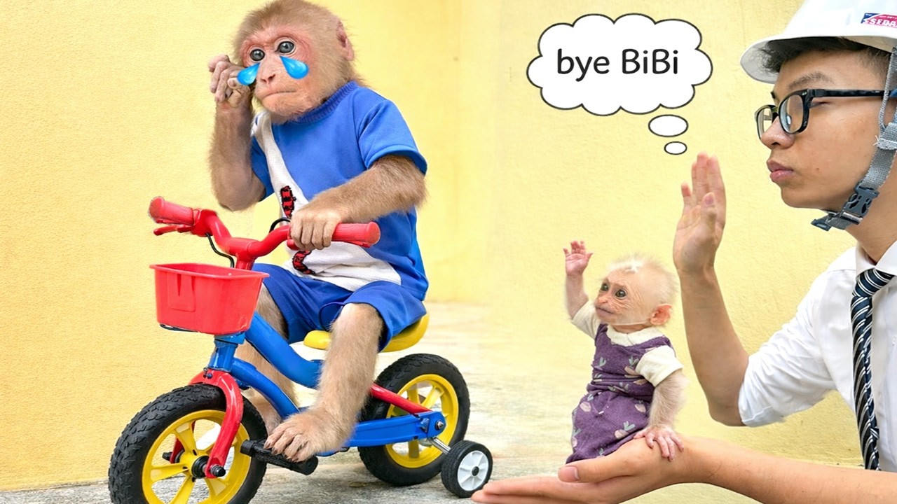 💔 So Emotional! Bibi Cries Sadly After Misunderstanding That CEO Kien Took LaLa Back