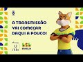 JUBs Brasília 2024: JIU-JITSU | Dia 4