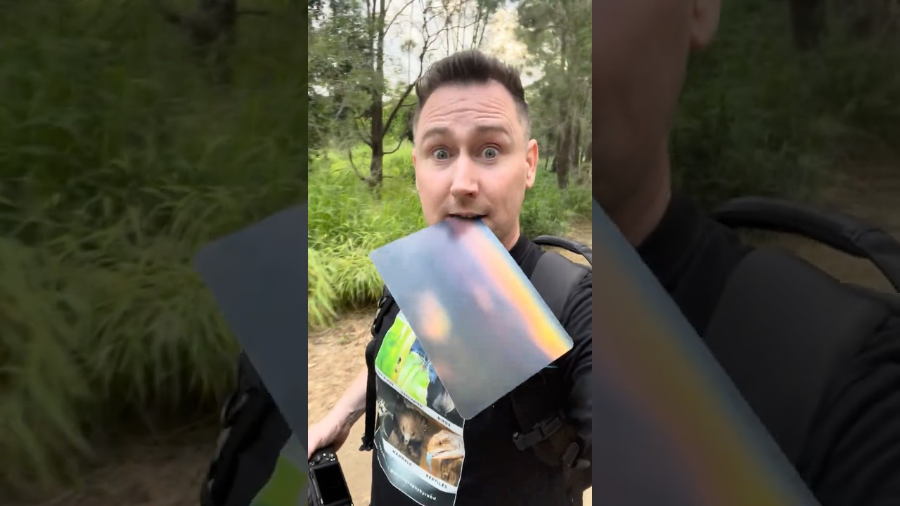 Wait, that&rsquo;s a strange looking animal!