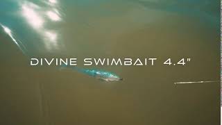 NEW 6th Sense 4.4 Divine Swimbait with NEW 6th Sense keel weighted swimbait  hook. 