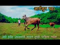       khillar calflakshya amazing jumping and running in sharyat