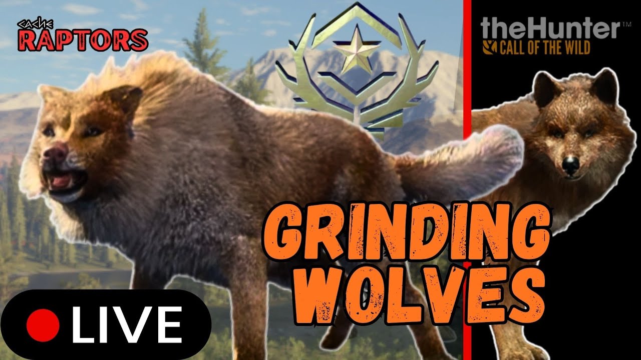 Wild LIVE STREAMING - Grinding Wolves in Yukon!