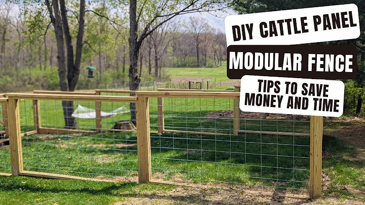 DIY Backyard Wood Fence | Tips to SAVE Money and TIME