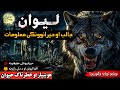 د لېوانو خطرناک رازونه                                   نجومي