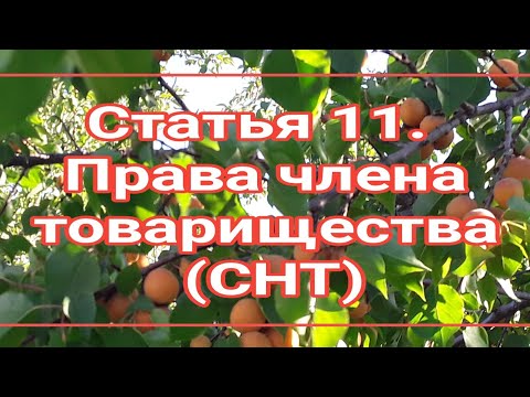 ПРАВА члена СНТ  29.07.2017 N 217-ФЗ Редакция от 22.12.2020 — Действует с 23.03.2021