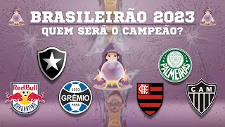 Vocês tem noção que o provável campeão brasileiro de 2023 foi