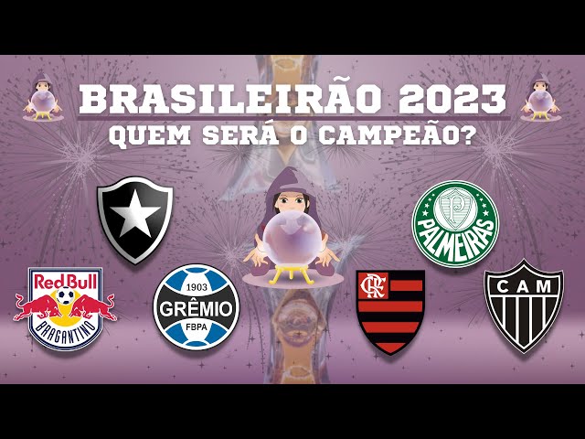 Vocês tem noção que o provável campeão brasileiro de 2023 foi