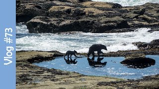 Http://www.melissawest.com/best-day-trip-from-victoria-bc/ for show
notes click on the link above botanical beach is one of our absolute
favourite day trips ...