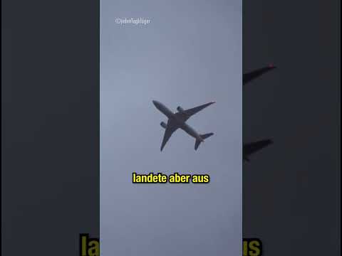 Jeder war auf