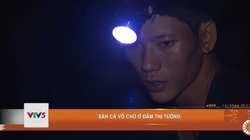 SĂN CÁ VỒ CHÓ Ở ĐẦM THỊ TƯỜNG   | VTV5