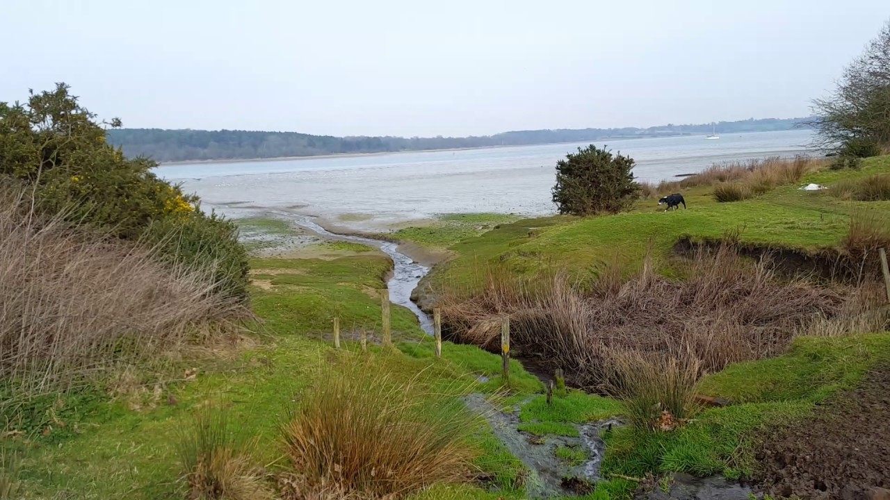 Guerilla Grow Spotting