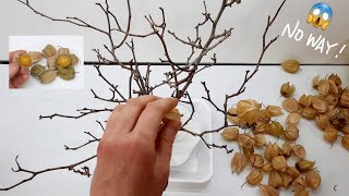 DIY | HANDMADE CRAFT لن تصدقى من ماذا صنع والنتيجة مبهرة .. عمل فني مبهر تزيني به منزلك